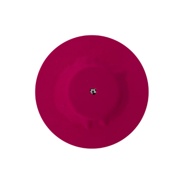Capteur Protect Cover FLibre Ad Rosa X4