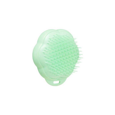 Pet Teezer Esc Gato Verde