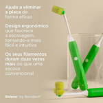 Balene by Bexident Jun Esc Dent 6A+ Ver,