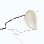 Cicabio Bioderma Cr 40 Ml