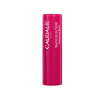 Caudalie Vinother Stick Lab c/Cor 4,5G,