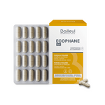 Ecophane fort Comp X60 Desc 5E