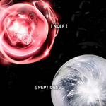 Filorga Uv Cell-Prot Cr Rst SPF50+ 40Ml