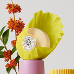 Rg Fl Osmanthus Sab Viagem 100g
