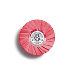 Rg Gingembre Roug Sab 100G
