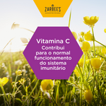 Zarbee's Garganta&Extra Imunidad PstX24,   pst